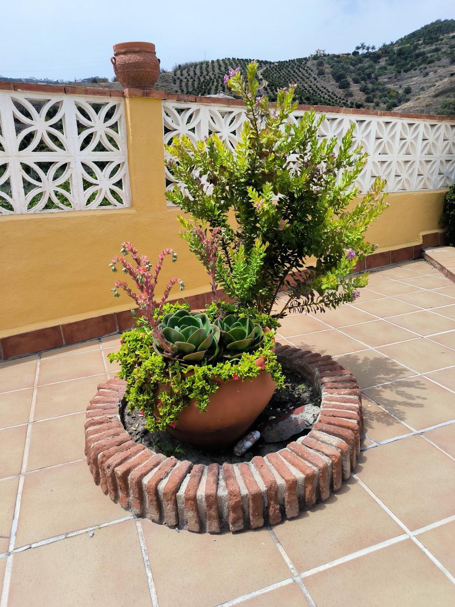 Cortijo Maria Gomez Villa Málaga Eksteriør bilde