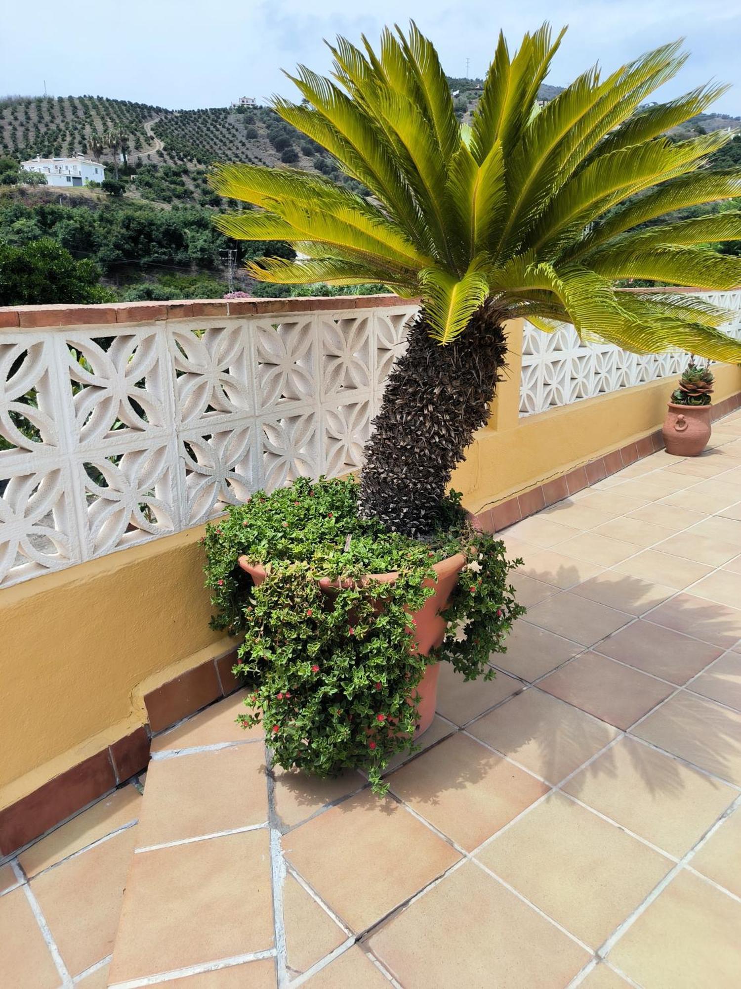Cortijo Maria Gomez Villa Málaga Eksteriør bilde